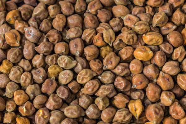 Chana (Chickpeas)
